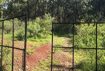 Lote de Terreno en  Colonia Mazamitla, Mazamitla