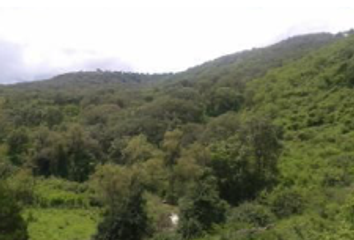 Lote de Terreno en  Chiquilistlán, Jalisco