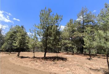 Lote de Terreno en  Pátzcuaro, Pátzcuaro, Pátzcuaro, Michoacán