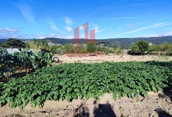 Chalet en  San Cibrao Das Viñas (capital), Orense Provincia