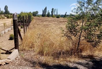 Parcela en  Perquenco, Cautín