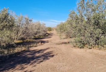 Terrenos en  Maipú, Mendoza