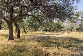 Lote de Terreno en  Rancho O Rancheria Salto De León, Coroneo