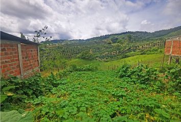 Lote de Terreno en  Versalles, Valle Del Cauca