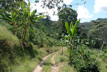 Villa-Quinta en  Pijao, Quindío