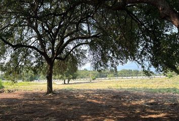 Lote de Terreno en  Ciudad Ciudad Allende, Allende, Nuevo León