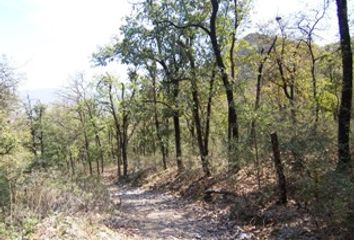 Lote de Terreno en  El Barrial, Santiago, Nuevo León