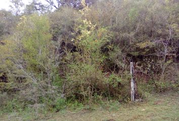 Lote de Terreno en  El Barro, Monterrey