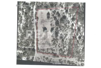 Lote de Terreno en  Ejidal, Arteaga, Arteaga, Coahuila