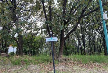 Lote de Terreno en  Colonia El Palomar, Tlajomulco De Zúñiga