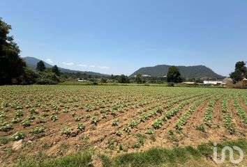 Lote de Terreno en  51268, Amanalco, México, Mex