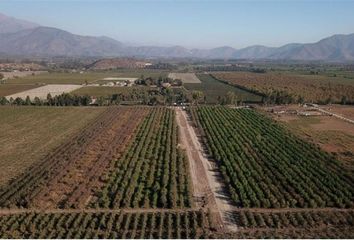 Parcela en  Colina, Chacabuco