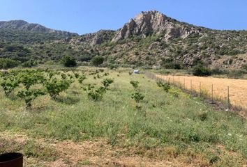 Chalet en  Alfarnate, Málaga Provincia