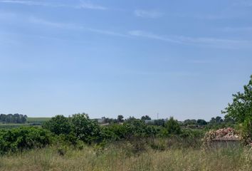 Terreno en  Pedralba, Valencia/valència Provincia