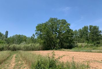 Terreno en  Pedralba, Valencia/valència Provincia