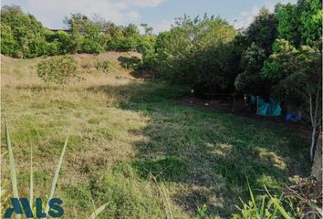 Lote de Terreno en  Cerritos, Pereira