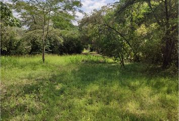 Lote de Terreno en  Olaya, Antioquia