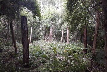 Lote de Terreno en  El Cuyo, Tizimín, Yucatán, Mex