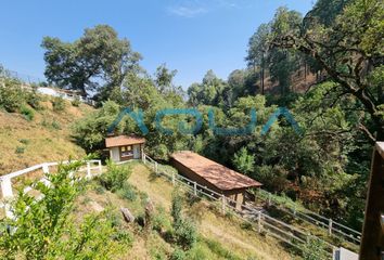 Rancho en  Amanalco, Estado De México