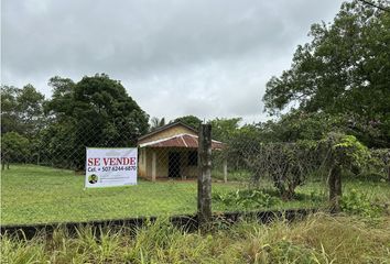 Lotes y Terrenos en  Barrio Balboa, La Chorrera