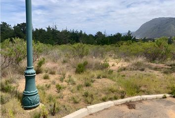 Parcela en  Casablanca, Valparaíso