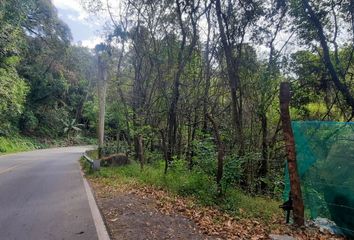 Lote de Terreno en  Carretera A Los Sauces, Monte Alto, Valle De Bravo, México, 51200, Mex