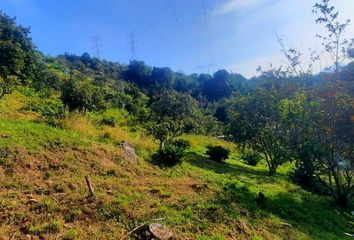 Lote de Terreno en  Santa María Pipioltepec, Valle De Bravo, México, Mex