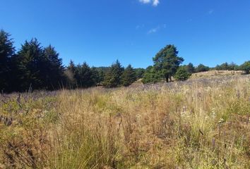 Lote de Terreno en  Carretera A Valle De Bravo, Donato Guerra, México, 51268, Mex