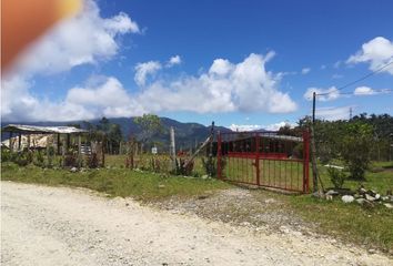 Villa-Quinta en  Argelia, Antioquia