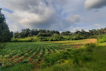 Lote de Terreno en  51208, El Arco, México, Mex