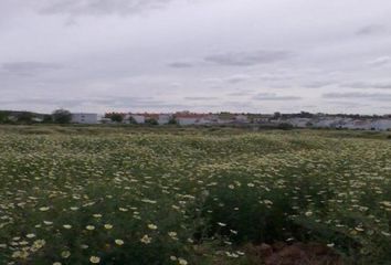 Terreno en  Carrion De Los Cespedes, Sevilla Provincia