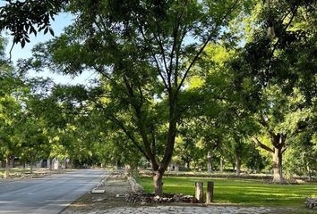 Lote de Terreno en  Barrio Macuyu, Parras