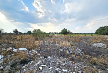 Lote de Terreno en  Fraccionamiento Las Palmas, Celaya