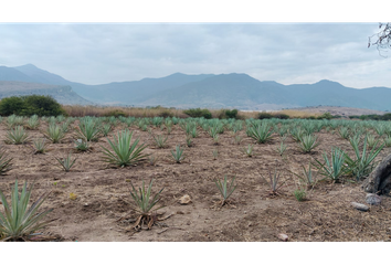 Lote de Terreno en  Tlacolula De Matamoros, Oaxaca