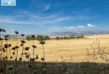 Terreno en  Gabia La Grande, Granada Provincia