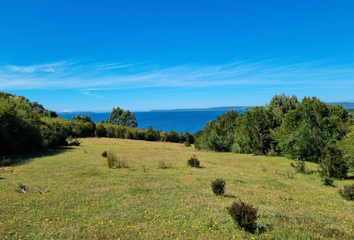 Parcela en  Queilén, Chiloé