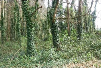 Terreno en  Soñeiro (san Xian), Coruña (a) Provincia