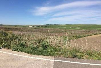 Terreno en  El Coronil, Sevilla Provincia