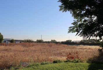 Terreno en  Alcala De Guadaira, Sevilla Provincia