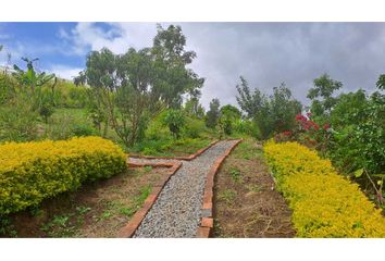 Villa-Quinta en  Villa Recreo, Pasto