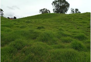 Lote de Terreno en  La Unión, Antioquia