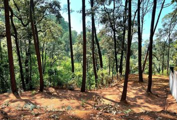 Lote de Terreno en  Circuito A Avándaro, Valle De Bravo, México, 51226, Mex