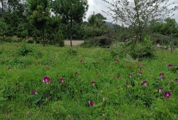 Lote de Terreno en  Avándaro, Valle De Bravo