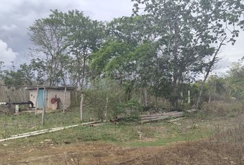 Rancho en  Hacienda El Cuyo, Tizimín