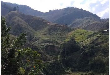 Lote de Terreno en  Urrao, Antioquia