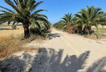 Chalet en  Arcos De La Frontera, Cádiz Provincia