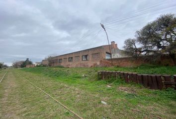 Galpónes/Bodegas en  Pergamino, Partido De Pergamino