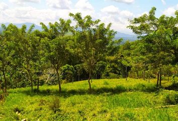 Lote de Terreno en  La Palmilla, Pereira