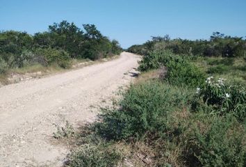 Lote de Terreno en  Padilla, Tamaulipas