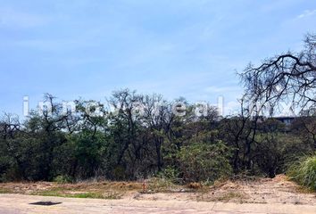 Lote de Terreno en  Rancho San Juan, Atizapán De Zaragoza